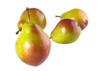 A Seckel Pear close up with three others in the background