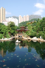 Hong Kong park