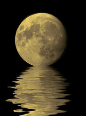 moon rise © PaulPaladin