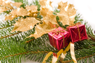 Fototapeta na wymiar christmas decoration with golden holly