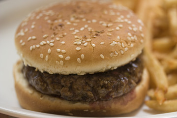 Hamburger 02