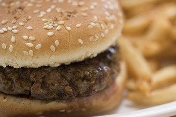 Hamburger
