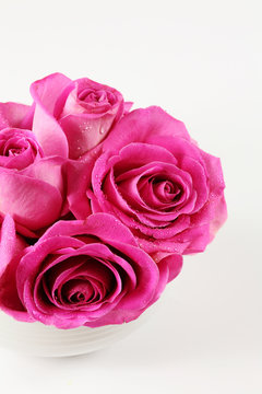 Detail of pink roses for Valentine or other event