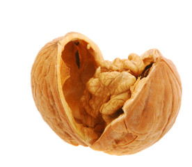 Walnut