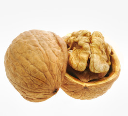 Walnut isolated and open