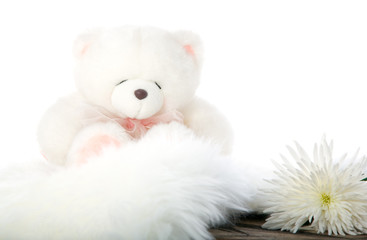 Teddy bear and white flower  isolated on white