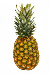 Fototapeta premium Ananas 21