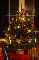 Weihnachtsbaum