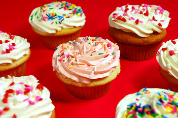 Frosted cupcakes