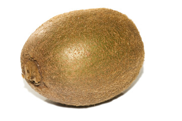 kiwi sur fond blanc