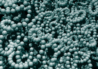 Abstract organic form on black background - 3d illustration