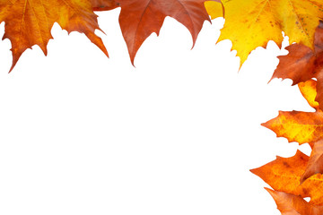 Autumn corner made of leaves, isolated on white background