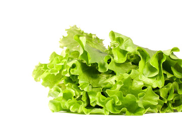 lettuce leafs isolated on white. Close-up.
