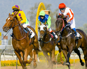 Jockeys on the finish line of a horserace. - 10360833