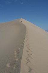 Einsame Wanderer in den Sanddünen des Death Valley, CA - USA