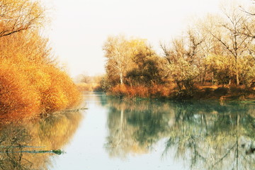 Picturesque rural landscapes on lake