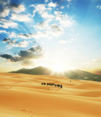 Fototapeta na wymiar Caravan w Saharze