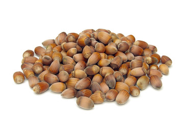 Haselnuss - hazelnut 11
