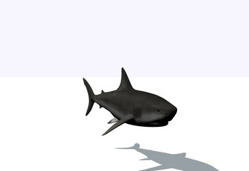 Requin