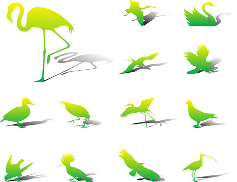 Set icons. Birds