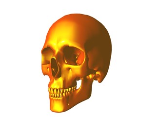 3D illustration of a human skull isolated