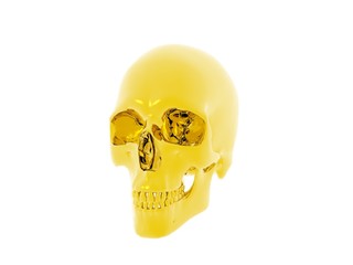 3D illustration of a human skull isolated