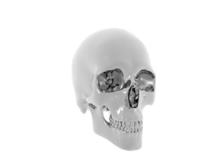 3D illustration of a human skull isolated
