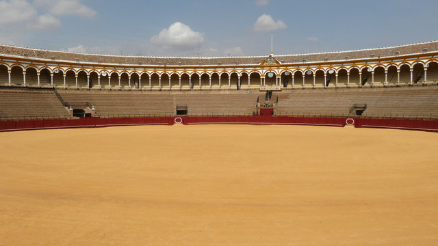 The bullfight sand field