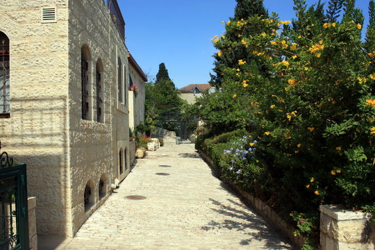 Cobblestone path alongside a row of historic houses