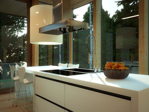 Minimalist kitchen in wood-panelled apartment
