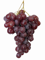 Weintrauben