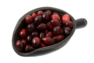 fresh cranberries on a wooden scoop, isolated on white