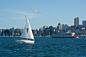 a yacht sails peacfully around sydney harbour