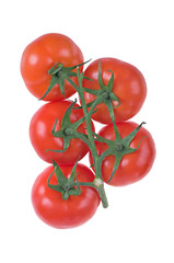 juicy red tomatoes on a vine isolated on white