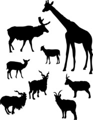 horned animals outline