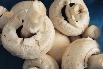 fresh mushrooms in a blue carton