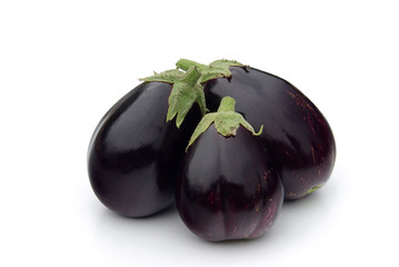Aubergine 19