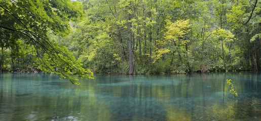 arboles reflejados en un lago turquesa