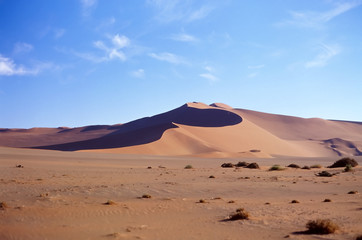 Fototapeta na wymiar Panoramic view on sand desert