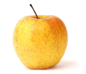 Big yellow delicious apple isolated on white background