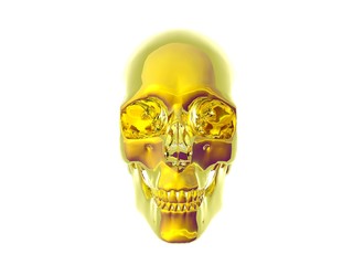 3D illustration of a human skull isolated