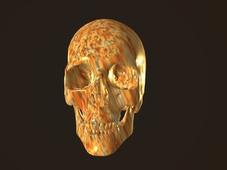 3D illustration of a human skull isolated