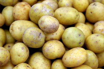 urban market potatoes