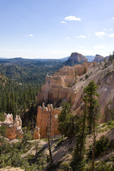 wild landscape in america