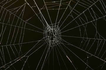 Close up of glistening cobweb over dark background.