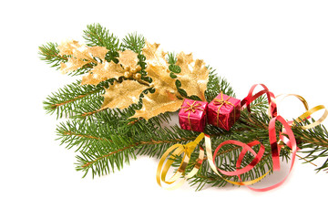 christmas decoration with golden holly