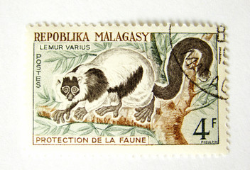 Madagascar postage stamp with monkey on white background