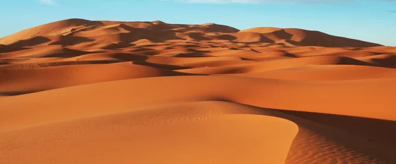 Cercles muraux Sécheresse Désert du Sahara