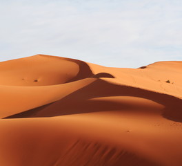 Fototapeta na wymiar Deserts dune