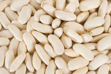 white kidney beans background horizontal